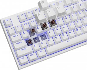 Klawiatura GENESIS THOR 404 TKL Kailh Brown Box (NKG-2072) 12