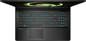 Laptop MSI Alpha 17 C7VG-035XPL Ryzen 9 7945HX / 16 GB / 1 TB / RTX 4070 / 240 Hz 2