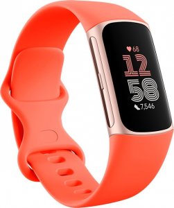 Smartband Fitbit Fitbit Activitytracker Charge 6 champagne (GA05184-EU) (GA05184EU) 2
