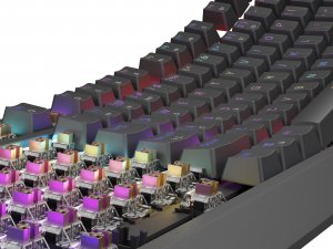 Klawiatura GENESIS Thor 230 TKL Outemu Brown (NKG-2079) 5