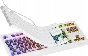 Klawiatura GENESIS Thor 230 TKL Outemu Brown (NKG-2080) 3
