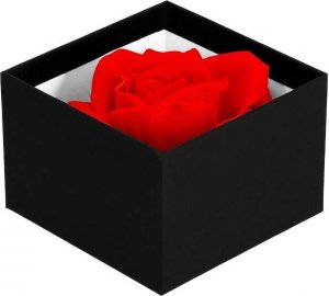 Springos Wieczna róża w pudełku prezentowym UNIWERSALNY 9