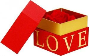 Springos Wieczna róża w pudełku prezentowym Love UNIWERSALNY 13