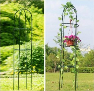 Severno Pergola ogrodowa na kwiaty, róże kolumnowa "Persian Yellow" 5
