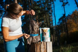 Contipro Geloren Small Dog 180g - Mieszanka uzupełniająca, żelki dla małych psów na stawy 60 szt. 5