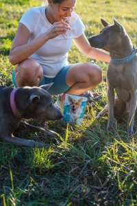 Contipro Geloren Small Dog 180g - Mieszanka uzupełniająca, żelki dla małych psów na stawy 60 szt. 8