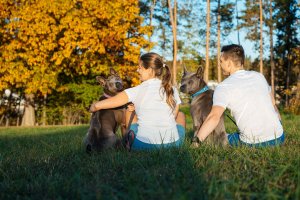 Contipro Geloren Small Dog 180g - Mieszanka uzupełniająca, żelki dla małych psów na stawy 60 szt. 9