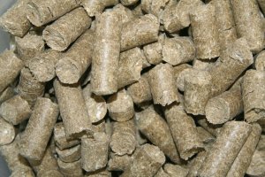 Triton Smakołyki dla konia malina 1 kg 2