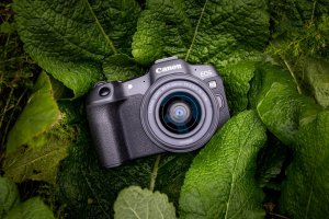 Aparat Canon EOS R8 + RF 24-50 mm f/4.5-6.3 IS STM (5803C013) 11