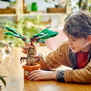 LEGO Harry Potter Mandragora (76433) 2