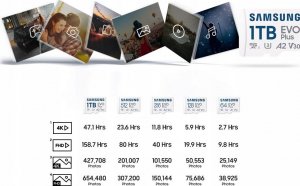 Karta Samsung EVO Plus 2024 MicroSDXC 64 GB Class 10 UHS-I/U1 A1 V10 (MB-MC64SA/EU) 6