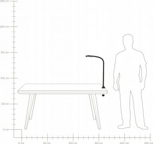 Lampka biurkowa Beliani czarna  (406463 Bel) 12