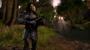 The Elder Scrolls Online: Morrowind PC 8