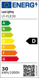 Naświetlacz Loyal Lighting LAMPA Zew. LED Loyal Lighting 4250lm LUMILEDS IP65 4K 2