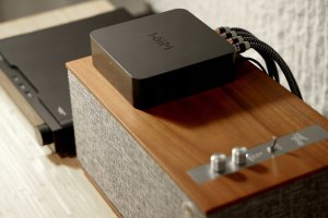 WiiM WiiM Pro Plus - Uniwersalny streamer audio klasy hi-end Roon Ready 14