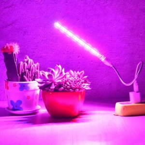 Heckermann Lampa Do Wzrostu Roślin Heckermann Zwd10W 3