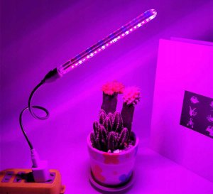Heckermann Lampa Do Wzrostu Roślin Heckermann Zwd10W 5