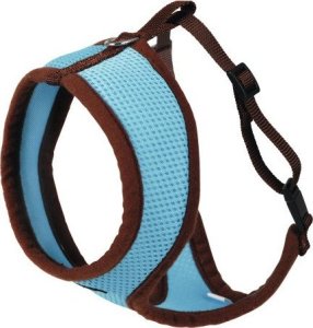 Kerbl Szelki z lamówką + smycz 120cm dla kota Niebieskie 3