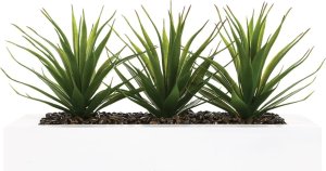 Atmosphera Sztuczna roślina, 3 x aloes w białej donicy, 31 cm 2
