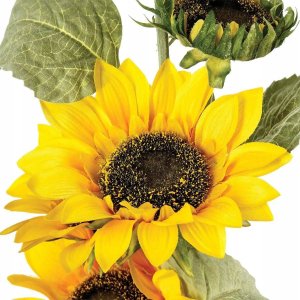 Atmosphera Sztuczny SŁONECZNIK, 81 cm 2
