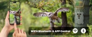 Kamera IP Redleaf T20WF 4K WiFi - Fotopułapka 9