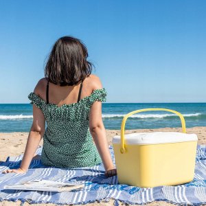 InnovaGoods InnovaGoods Portable Rigid Cooler Lilty 15 L 2