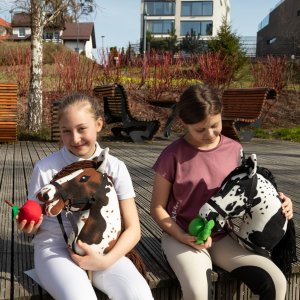 Froster Koń na Kiju - Hobby Horse Skippi - Karo-Srokaty 12