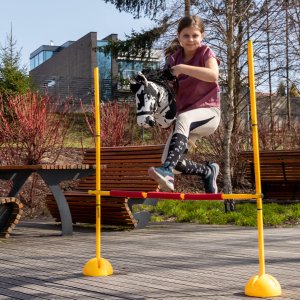 Froster Koń na Kiju - Hobby Horse Skippi - Karo-Srokaty 6