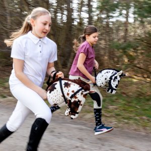 Froster Koń na Kiju - Hobby Horse Skippi - Karo-Srokaty 10