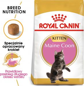 Royal Canin Kitten Food Maine Coon 36 Dry Mix 10kg 5