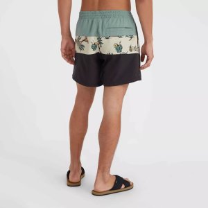 O Neill Męskie Szorty MIX & MATCH CALI BLOCK 15'' SWIM SHORTS 6