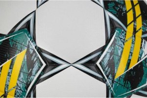 Select Select Pioneer TB FIFA Basic Ball 120072 białe 4 2