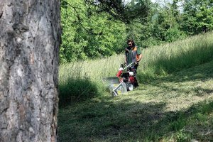 Kosiarka spalinowa Weibang Wbgt6813 Karczownica karczownik profesjonalna kosiarka bijakowa do trawy zarośli ogrodowa spalinowa premium Weibang WBGT 6813- 6
