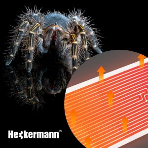 Heckermann Mata Grzewcza Do Terrarium 15X14Cm Heckermann N001 4