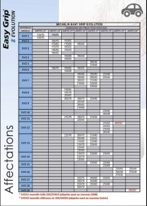 Michelin Michelin EasyGrip Evolution - MIEVO10 6