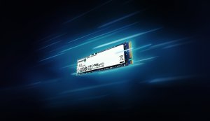 Dysk SSD Kingston SNV3S 1TB M.2 2280 PCI-E x4 Gen4 NVMe (SNV3S/1000G) 8