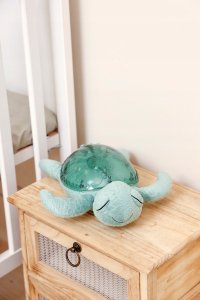 Cloud B Tranquil Turtle™ - Green (Rechargeable) 3