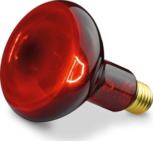 Sanitas Lampa lecznicza SIL 06 biały 100 W 4
