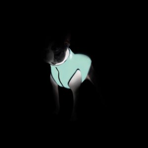 DOGGY S 35 KURTKA LUMI ODBLASKOWA JASNOZIELONA + NIEBIESKA 3
