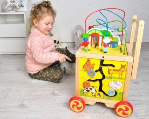 Kruzzel Pchacz drewniany- Kostka edukacyjna (22606) 16