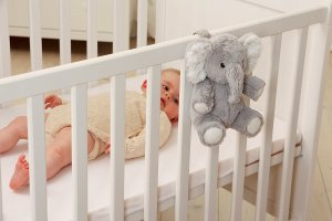 Whisbear Cloud B Elliot Elephant On The Go (CB0092) 3