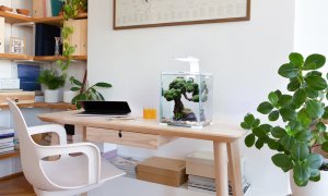 Aquael Zestaw Shrimp Set Smart Day & Night [10l] - biały 2