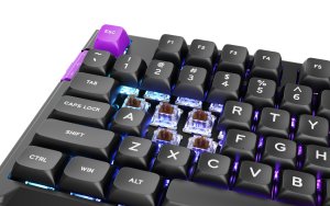 Klawiatura PREYON Silent claw TKL brown Gateron Brown Pro (PSCTB85B) 2