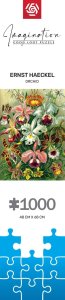 Good Loot Puzzle: Imagination - Ernst Haeckel - Orchidea / Orchid (1000 elementów) 3