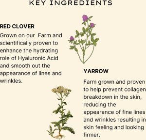 Jurlique , Herbal Recovery Signature, Firming, Serum, For Face, 30 ml For Women 9