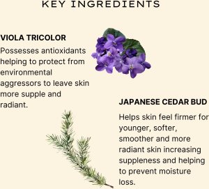 Jurlique , Herbal Recovery Signature, Firming, Serum, For Face, 30 ml For Women 10