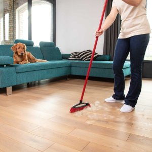 Vileda Wkład do szczotki do sierści i włosów Always Clean, Vileda, Pet Pro 2