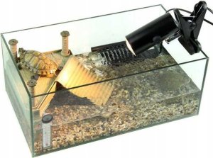 Heckermann Uchwyt Do Żarówek Metalowy Heckermann Bm-Jd-10Cm Czarny 2