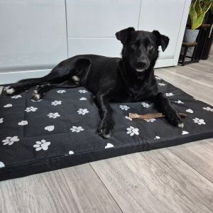 Purlov Legowisko 100x70cm dla psa 24862 4
