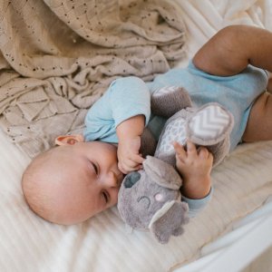 MWB BABY ONO 1631 MASKOTKA KOALA COCO 5
